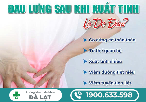 Hình ảnh minh họa